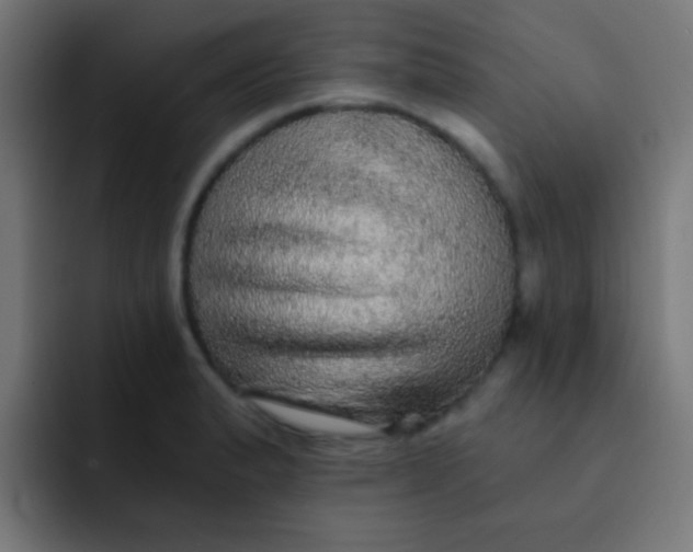 X0000092081183200710031131