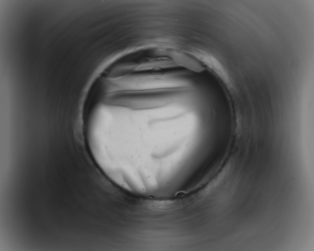 X0000092081184200710031131