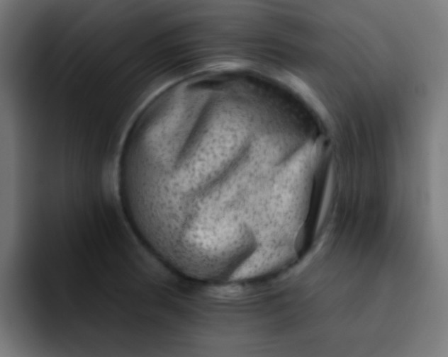 X0000092081186200710031131