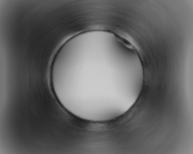 X0000092081187200710031131