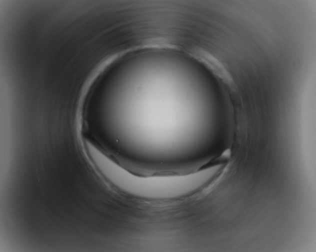 X0000092081188200710031131