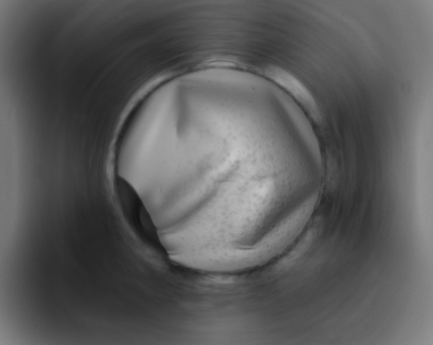 X0000092081190200710031131