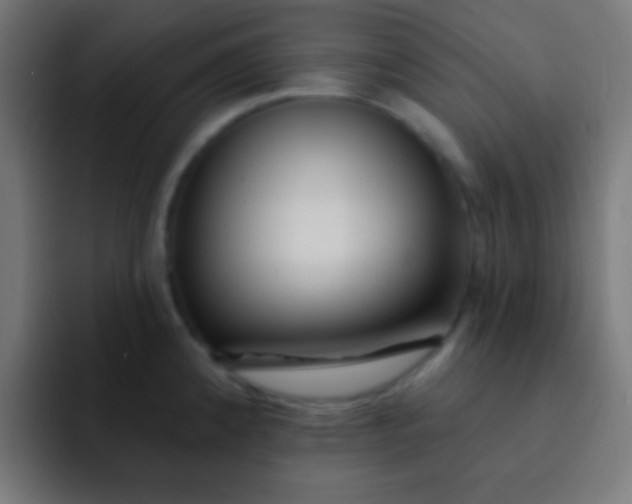 X0000092081192200710031131