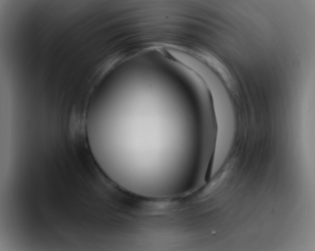 X0000092081193200710031131