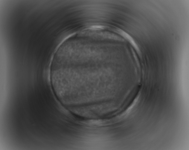 X0000092081194200710031131