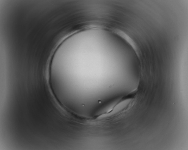 X0000092081195200710031131