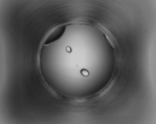 X0000092081196200710031131