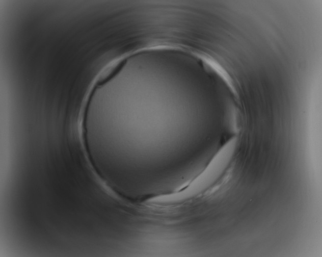 X0000092081197200710031131