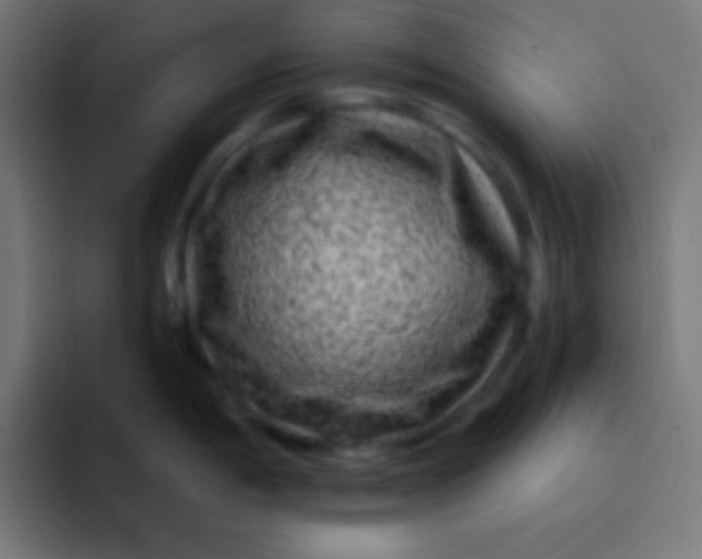 X0000092081198200710031131