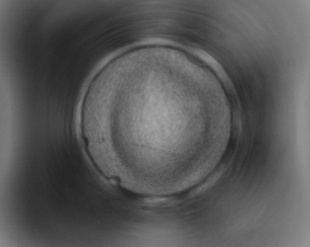 X0000092081199200710031131