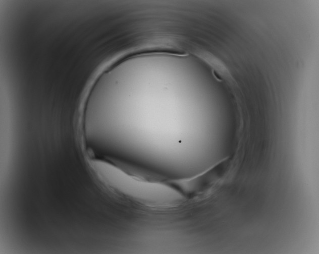 X0000092081200200710031131