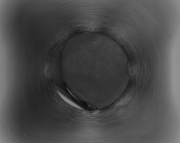 X0000092081202200710031130