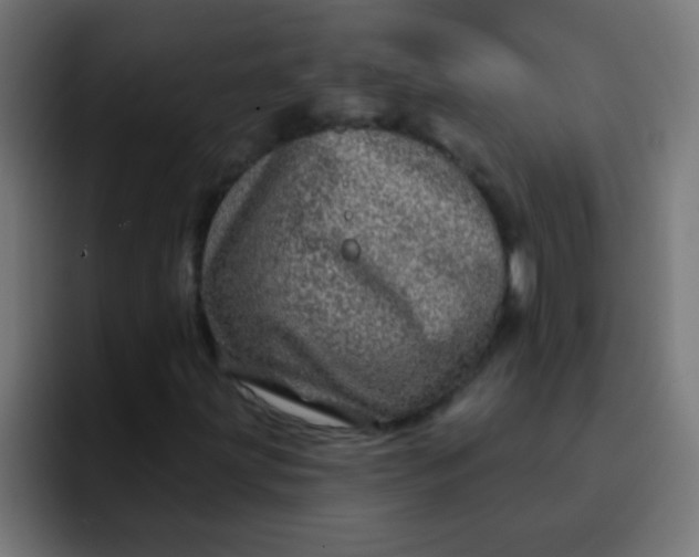 X0000092081203200710031130