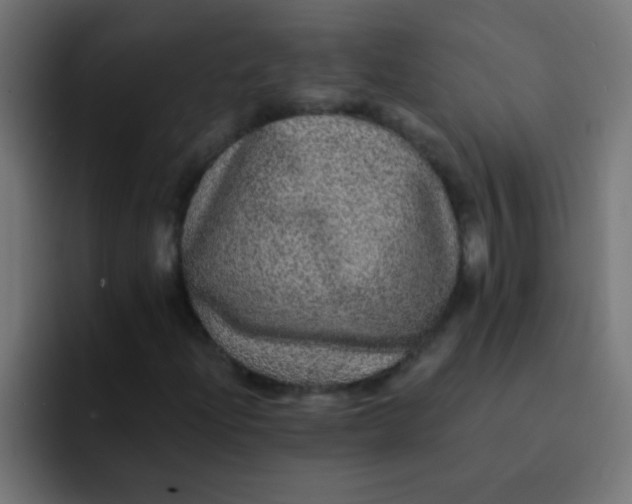 X0000092081204200710031130