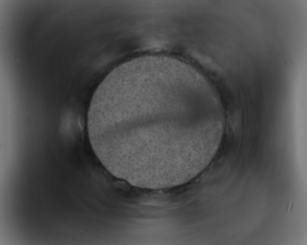 X0000092081206200710031130