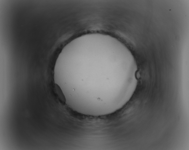 X0000092081207200710031130