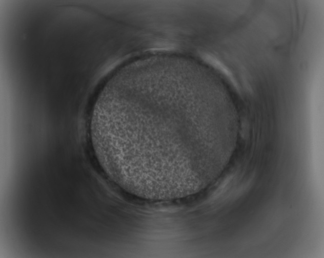 X0000092081208200710031130