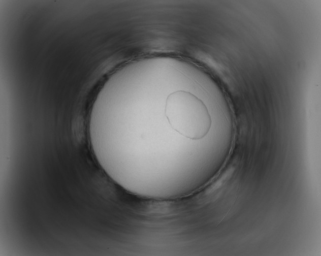 X0000092081211200710031130