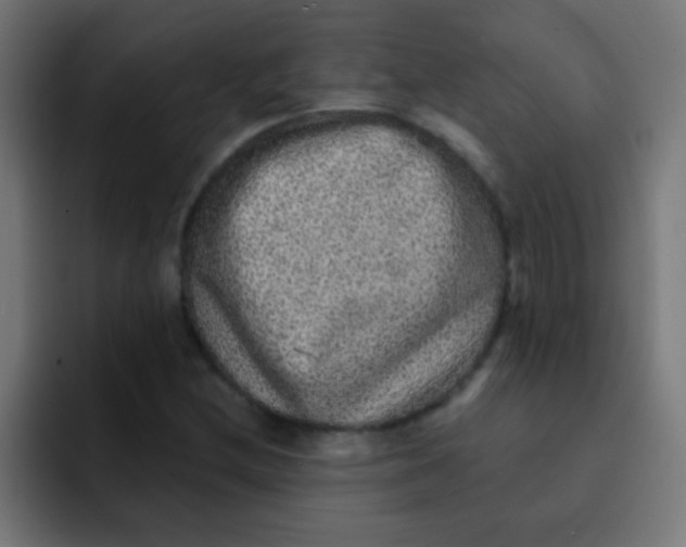 X0000092081212200710031130