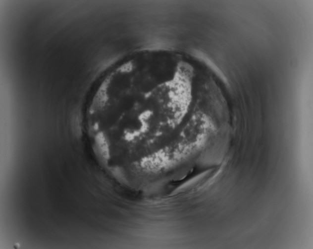 X0000092081213200710031130