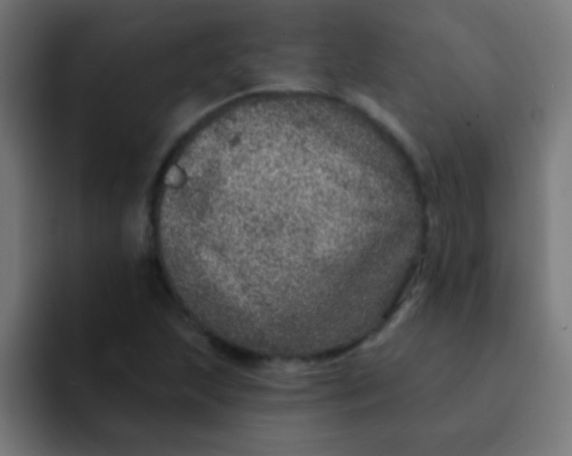 X0000092081215200710031130