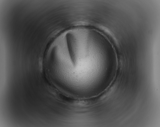 X0000092081217200710031130