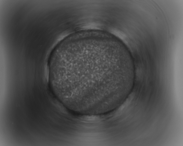 X0000092081219200710031130