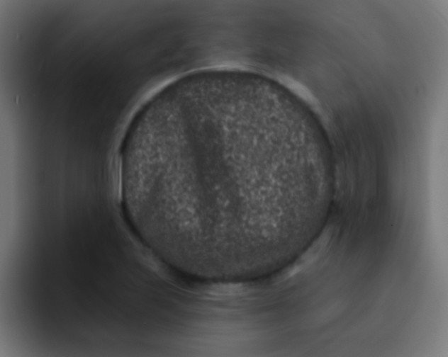 X0000092081223200710031130