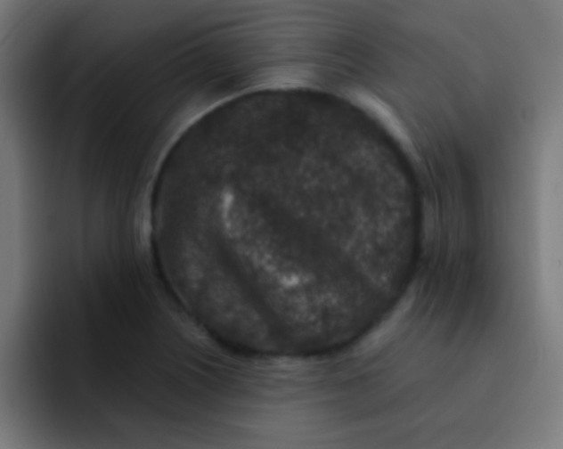 X0000092081226200710031130