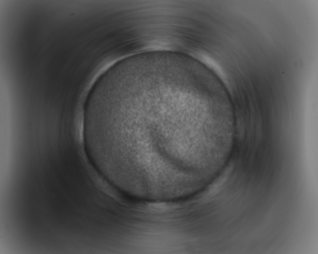 X0000092081227200710031130