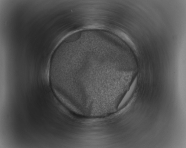 X0000092081228200710031130