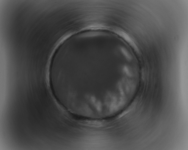 X0000092081229200710031130