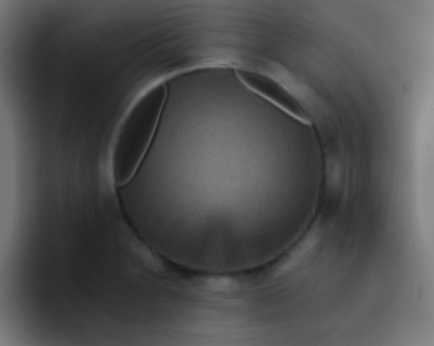 X0000092081230200710031130