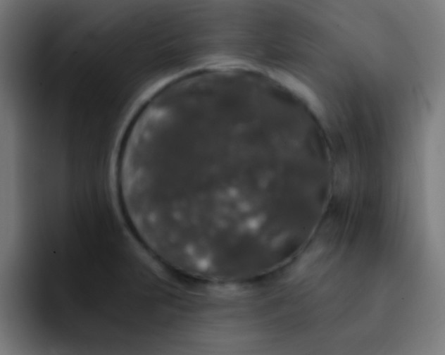 X0000092081231200710031130