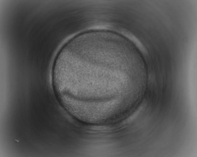 X0000092081232200710031130