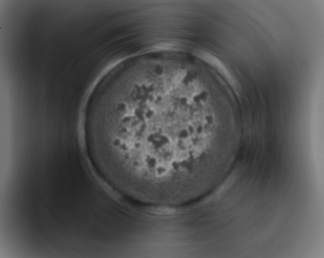 X0000092081235200710031130