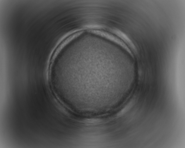 X0000092081236200710031130