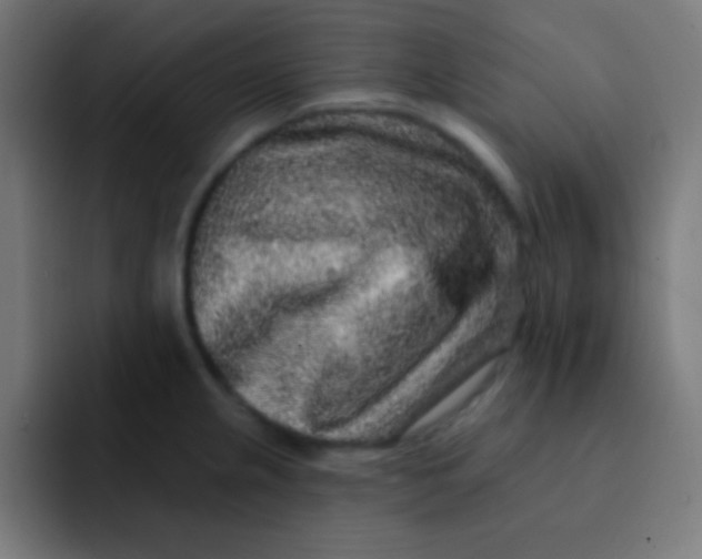 X0000092081237200710031130