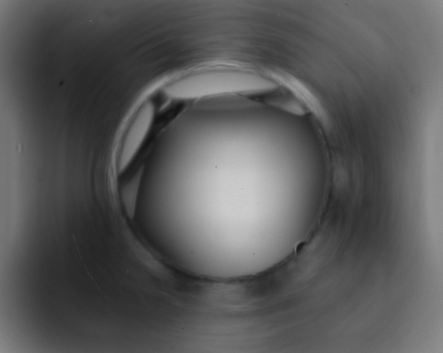 X0000092081238200710031131