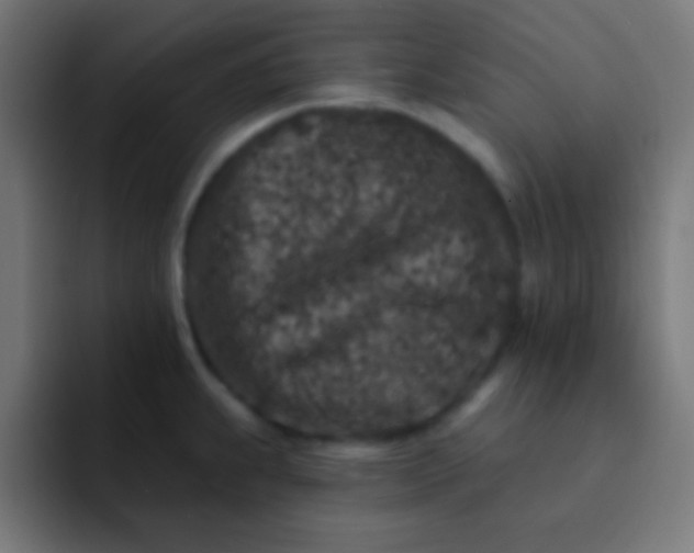 X0000092081239200710031131