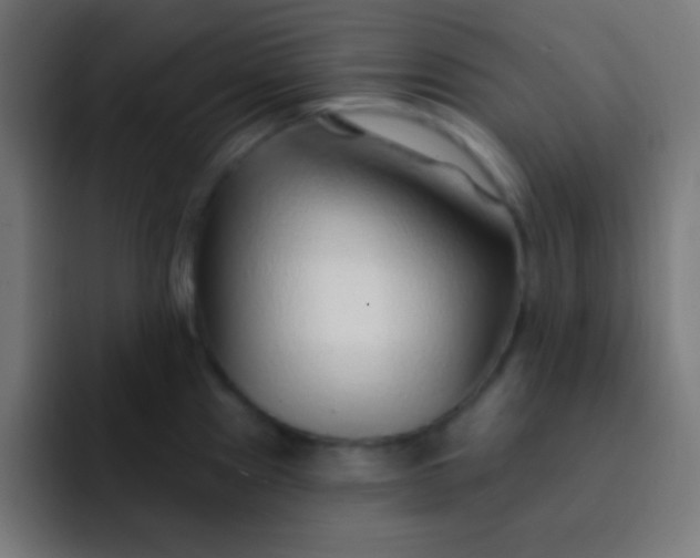 X0000092081241200710031131