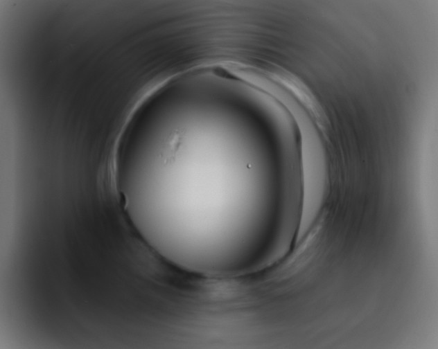 X0000092081242200710031131