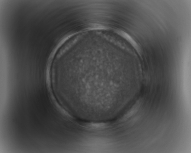 X0000092081243200710031131