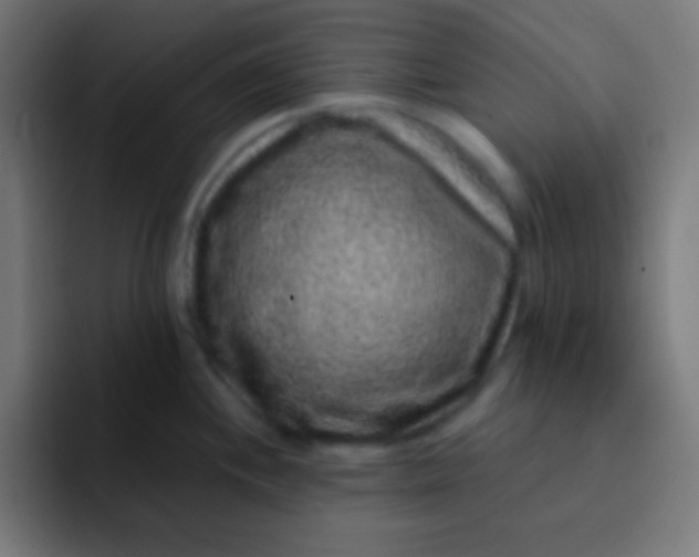 X0000092081244200710031131