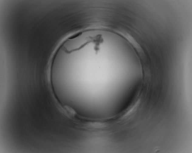 X0000092081246200710031131