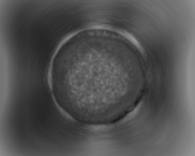 X0000092081247200710031131