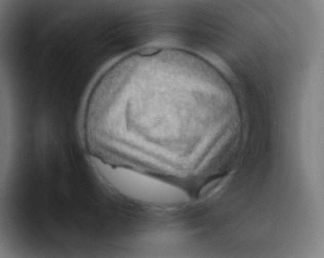 X0000092081248200710031131