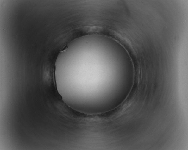 X0000092081250200710031130