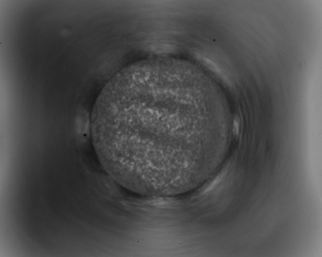 X0000092081251200710031130