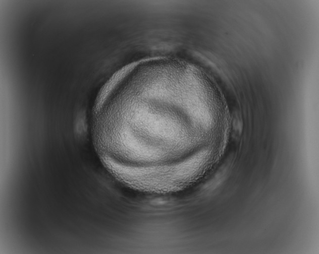 X0000092081252200710031130